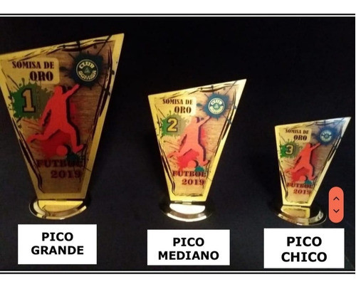 Premio Trofeo De Acero Ploteado  Deportes Escuelas 24x18cm 1