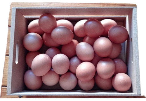 Huevos Extra Grandes. 1ra Calidad. Maple 30 Huevos. Envios 1