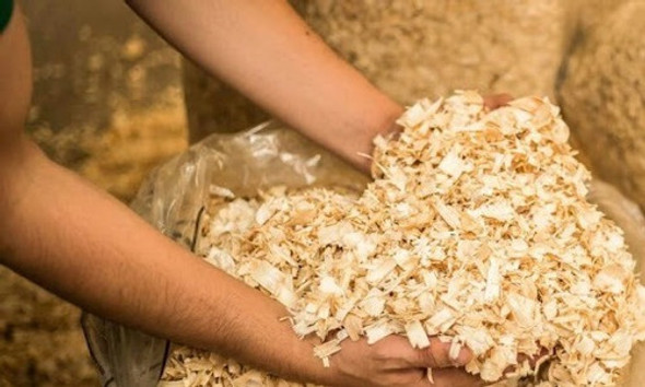 Serragem Prensada 500g -forração Coelho Hamster Chines Russo 0 Serragem Prensada 500g -forração Coelho Hamster Chines Russo 0