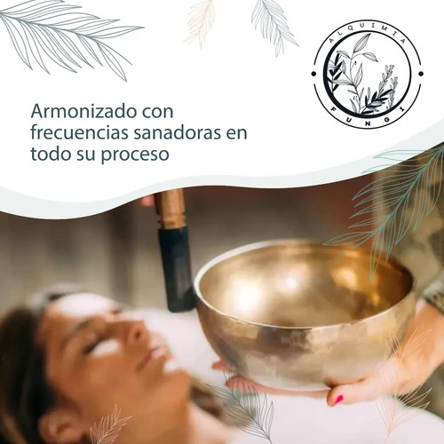 Extracto Melena De León+ Reishi. Gotero X 60 Ml 1
