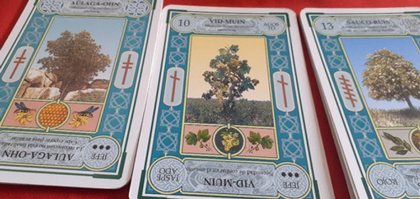Tarot Cartas Lectura. Respuesta Por Videollamada 0