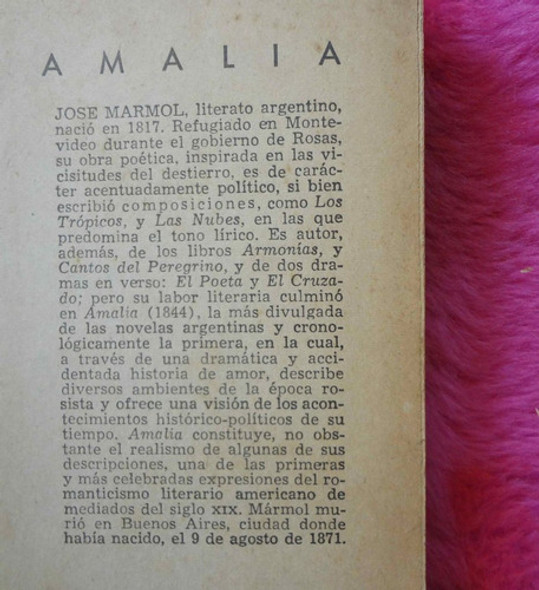 Amalia Novela Historica Americana De Jose Marmol 1