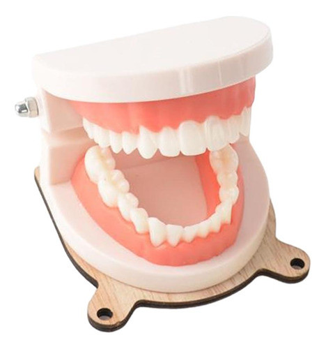 Praticidade Infantil Escovar Os Dentes Modelo Placa Ocupada 0