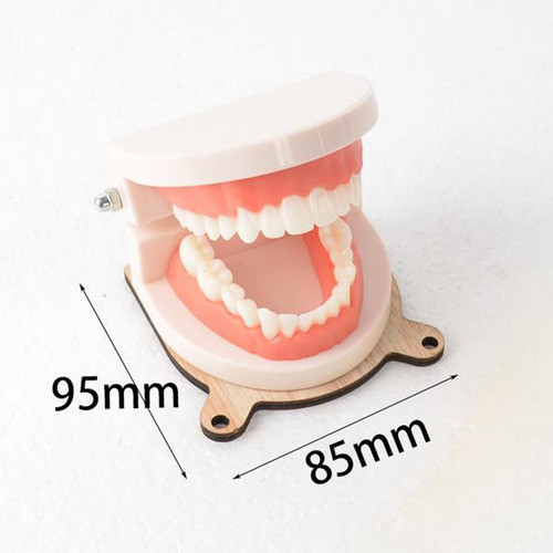 Praticidade Infantil Escovar Os Dentes Modelo Placa Ocupada 1