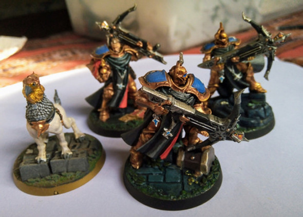 Warhammer Castigators With Gryph Hound Pintados 1