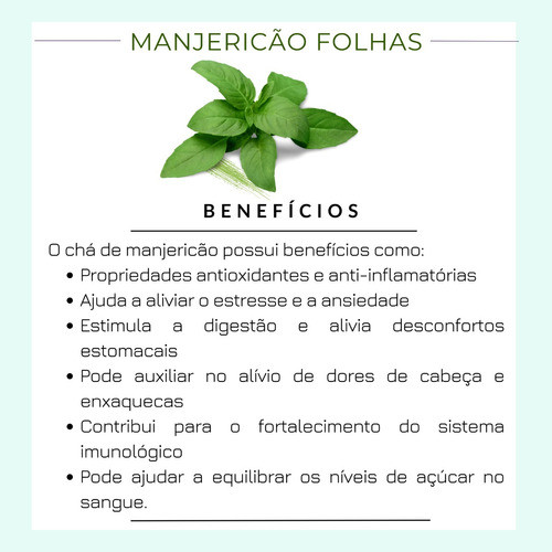 Chá Manjericão Folhas | Verdadeiro Ocimum Basilicum P Cha 1