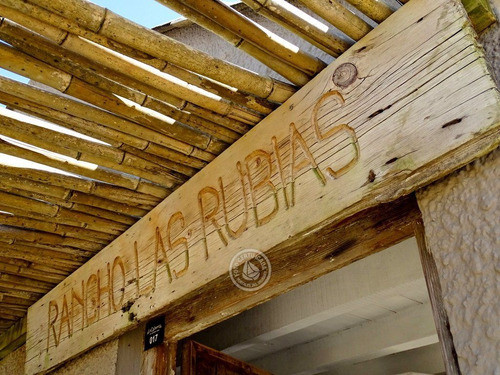 Las Rubias En Cabo Polonio 1