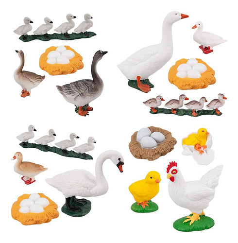 ~? Toymany 16pcs Ciclo De Vida De Ganso Cisne Blanco Pollo P 0