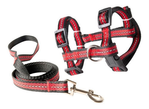 Juego Correa Y Pretal Perros Rascals Reflectiva Grande 0