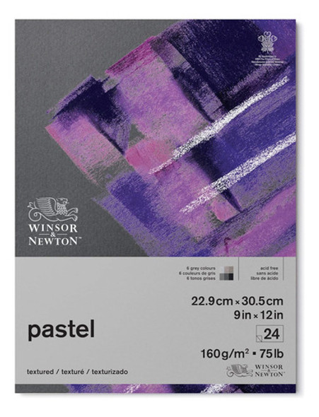 Papel De Pastel Winsor   Newton, 23cm X 30cm, 24 Hojas, Gris 0
