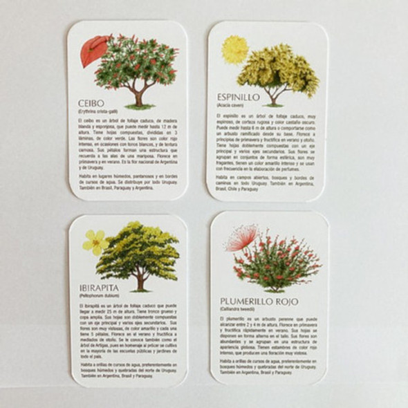 Juego Cartas | Flora Nativa Del Uruguay | Pika 1 Juego Cartas | Flora Nativa Del Uruguay | Pika 1