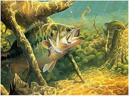 Pintura Por Diamantes Kit Completo 30x40cm -84wsfy9f 0