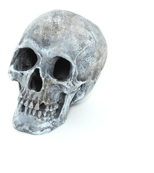 Decoração Ou Ornamento Para Aquário Cabeça De Caveira 0 Decoração Ou Ornamento Para Aquário Cabeça De Caveira 0