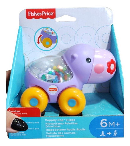 Fisher Price Animalitos C/pelotitas Bgx29 1