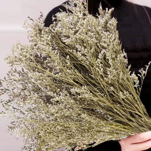 Ramo Limonium Natural Conservado, Más 25 Tallos Caspia Real, 0