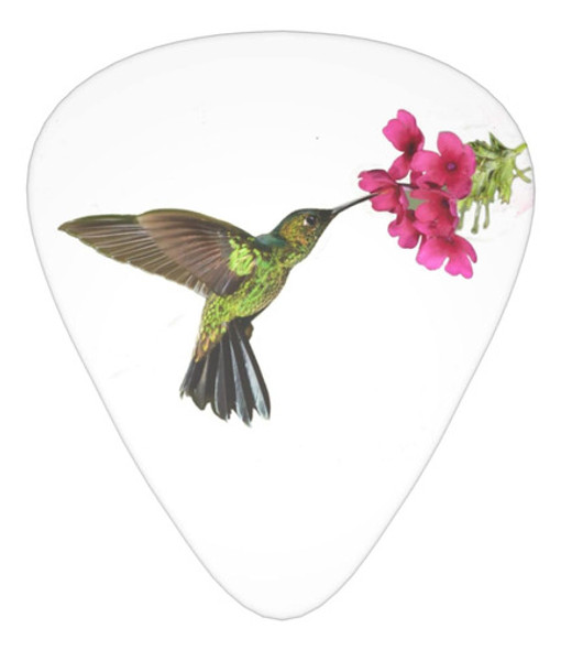 Púas De Guitarra Hummingbird Spring Flower Para Guitarra De 0