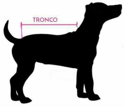 Chaleco Cirugía Perros Y Gatos  Con Manga   Varios Talles 0