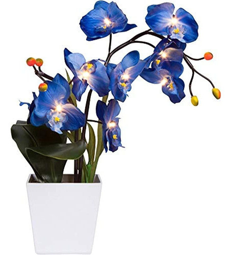 Orchid & Ivy Planta De Flor De Orquídea Artificial Azul Ilum 0
