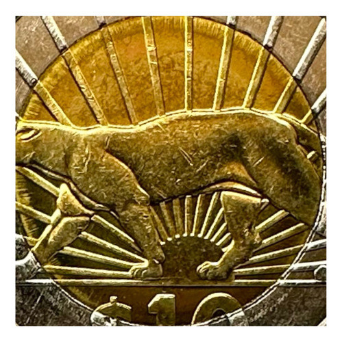 Uruguay - Set X 4 Monedas  - Año 2011 - Animales 0