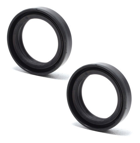 Par Retentor Bengala 2 Molas Xlr 250 Xlx 250 Tdm 225 Xtz 125 1
