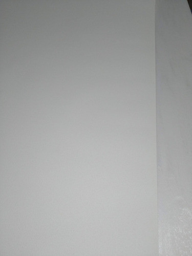 Empapelado 527001 Blanco Vinilico Importado Rasch 1