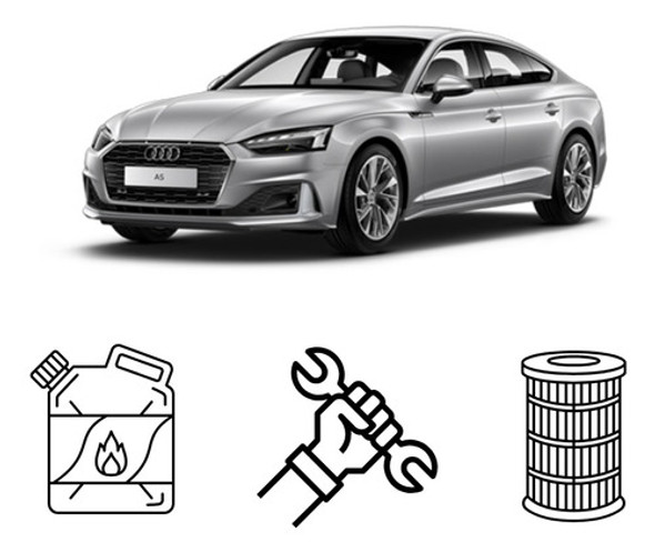 Cambio De Aceite Elaion F30 Y Filtro Audi A5 0
