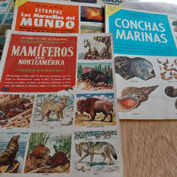 Libro De Oro De Estampas Lote De 22 1