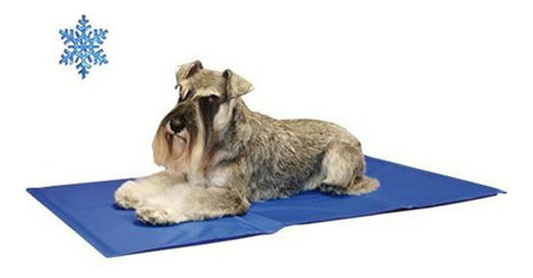 Cama Refrescante 65x50cm Mas Regalo Y Envio 0 Cama Refrescante 65x50cm Mas Regalo Y Envio 0