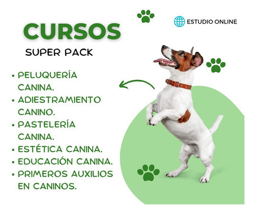 Cursos De Peluquería , Adiestramiento  Y  Pastelería Canina 0