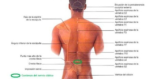 Curso De Masajista, Esteticista Y Aux De Kinesio A Distancia 0