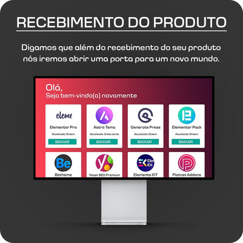 All In One Seo Pack Pro + Chave Mundo Inpriv 1