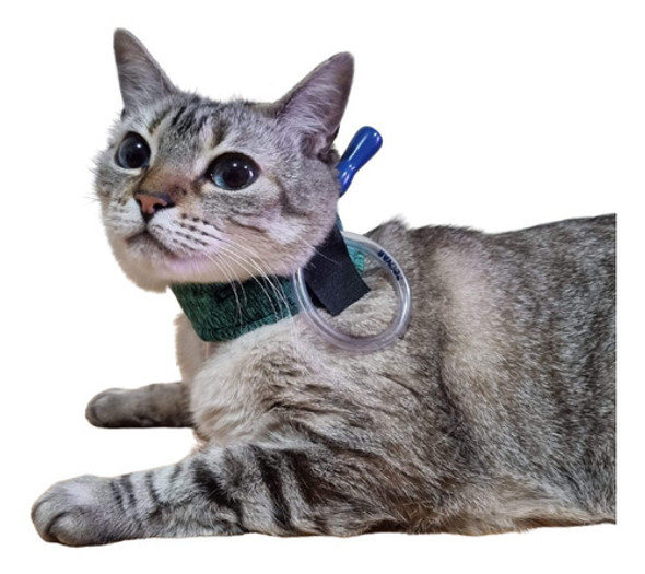 Colar Para Sonda Esofágica Para Gatos - Pet Med Dry Verde N3 1
