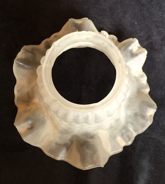 Tulipa Antigua Esmerilada - La Casa De Honduras (t33) 1