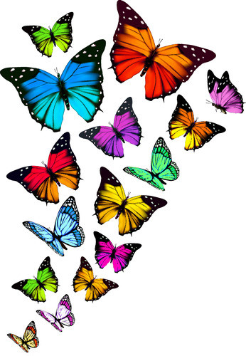 Pizarra Poster Mariposas Editable 0