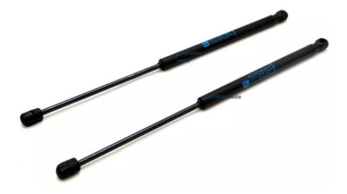 Amortiguador Porton Baul Trasero Fun Celta X1 0