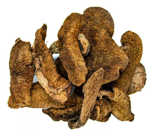 Hongos De Pino X1kg Chile 0