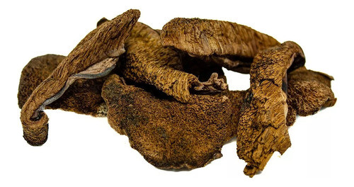 Hongos De Pino X1kg Chile 1