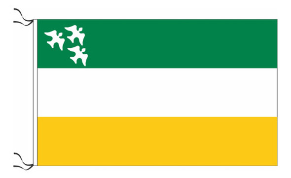 Bandera De Carlos Casares Estampada De Flameo 150x90cm 0 Bandera De Carlos Casares Estampada De Flameo 150x90cm 0
