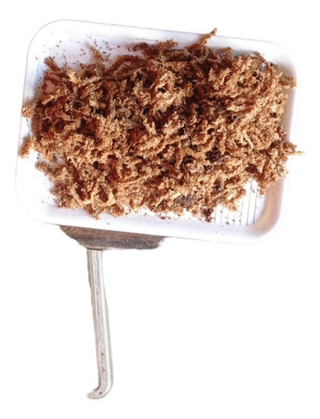 Musgo Sphagnum 4kg 0
