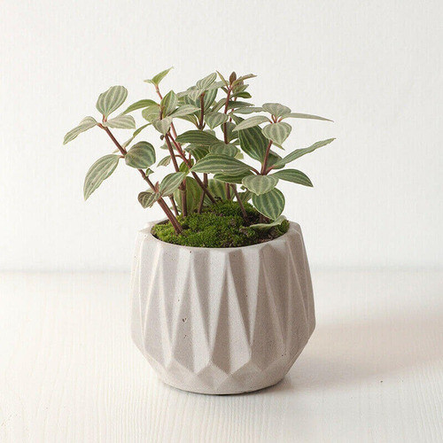 Molde De Silicone Vaso Origami 1