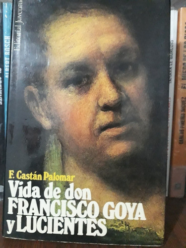 Vida De Don Francisco Goya Y Lucientes - F. Castan Palomar 0