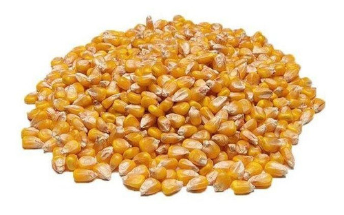 Milho De Galinha 1kg 0