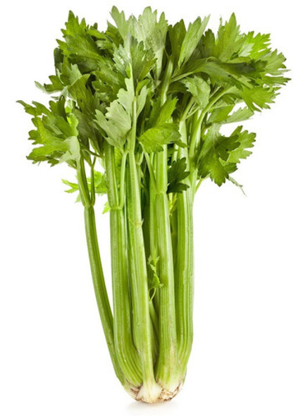 Frete Registrado Grátis + 200 Sementes De Salsão Tall Utah 0 Frete Registrado Grátis + 200 Sementes De Salsão Tall Utah 0