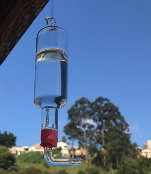 Bebedouro Vidro P/ Pássaros E Beija Flor Ar Livre 0 Bebedouro Vidro P/ Pássaros E Beija Flor Ar Livre 0