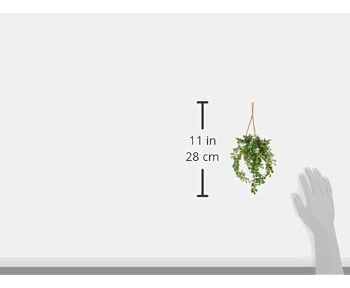 Casi Natural 6913 Cesta Colgante Mixta Stephanotis 1