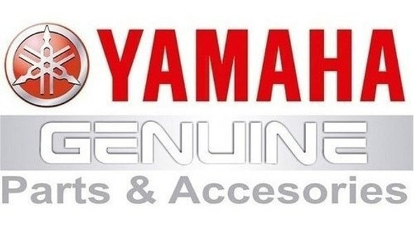 Guardabarro Trasero  Yamaha Fz25 En Cycles 1