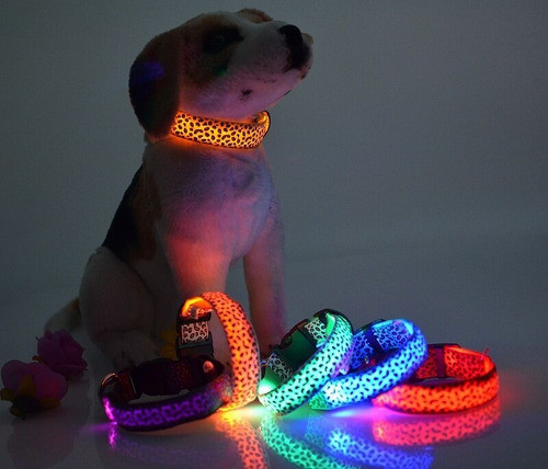 Collar Led Mascota Perro Gato Paseo Seguridad Talle M   M126 1