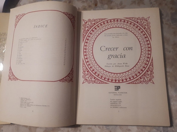 Crecer Con Gracia - Anna Webb - Editorial Plancton 1