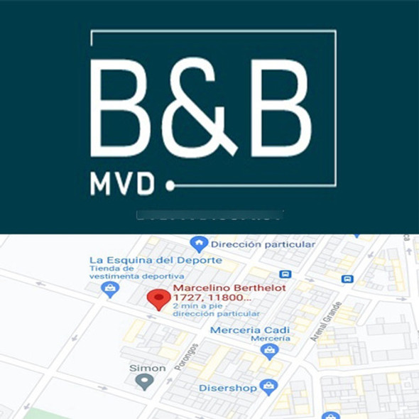 Guia De Hojas / Enredadera X5 1 Guia De Hojas / Enredadera X5 1