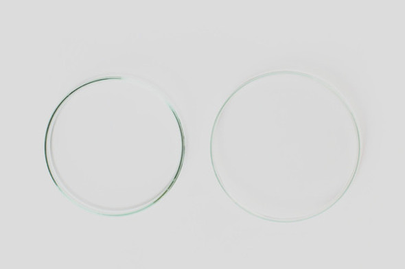 Placa De Petri 60x15mm Vidrio Boro 3.3 X Unidad Fungalabs 1